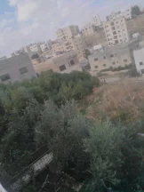 أرض في عمان ام نوارة ٤ بالقرب من مسجد الحاجة سعاد  - 58,000 دأ - صورة NaN