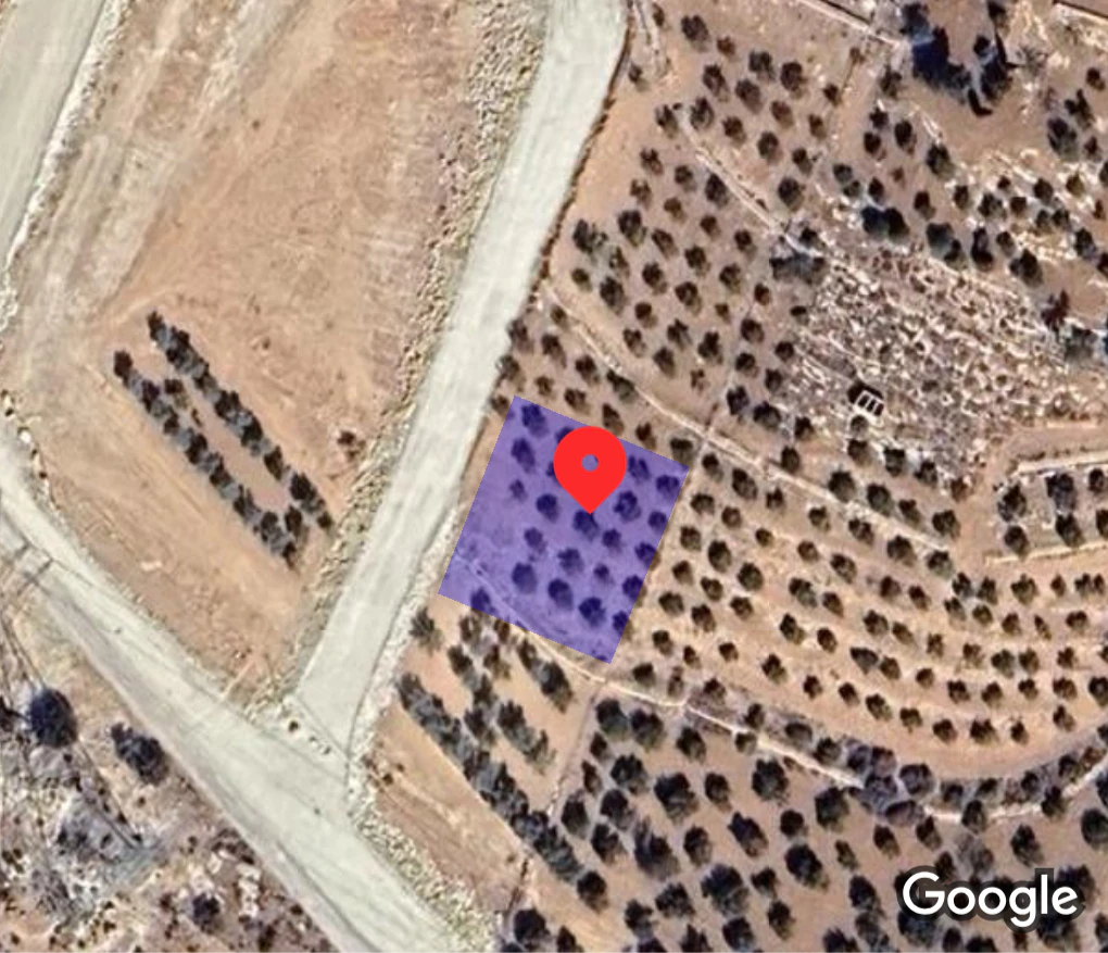 أرض في شفا بدران حوض المكمان  - 77,000 دأ - صورة 1