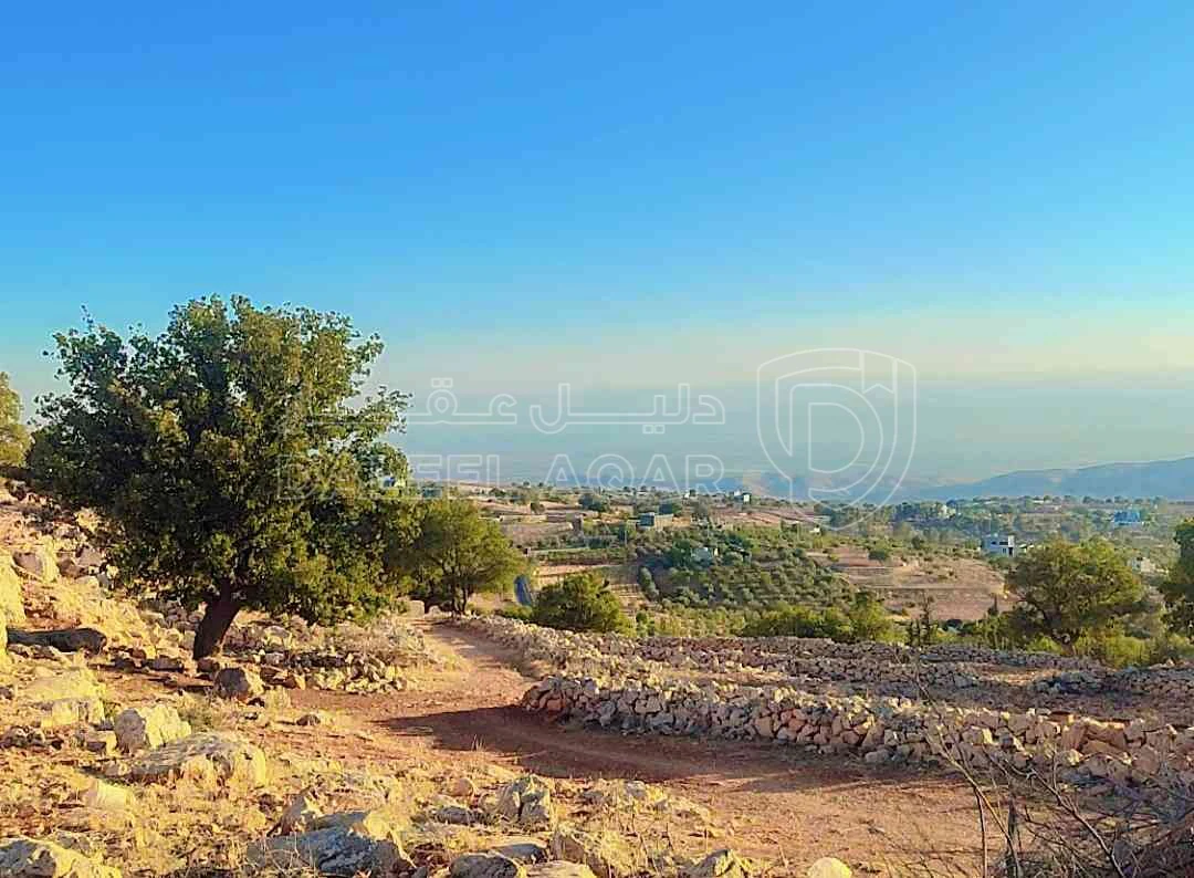 أرض في اراضي غرب عمان بدر الجديدة - 240,000 دأ - صورة 1
