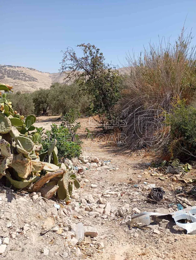 أرض في الطفيلة ام قرى - 25,000 دأ - صورة 1