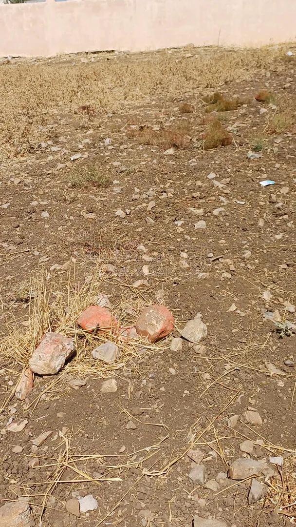 أرض في   السرو الجنوبي  مقابل جامعة عمان الاهلية  - 264,000 دأ - صورة 1