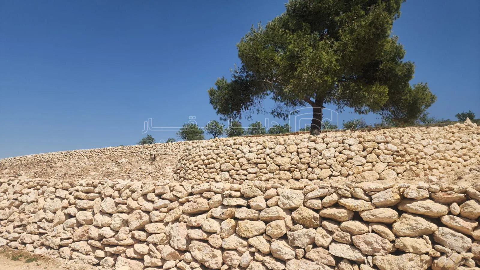 أرض في جرش سوف - 43,000 دأ - صورة 1
