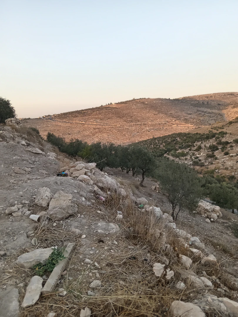 أرض في اراضي عنبه الحاره التحتى.. طريق النقيع - 140,000 دأ - صورة 1