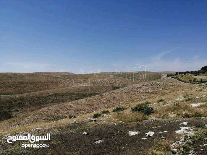 أرض في مادبا - لب - المنسف الغربي  - 9,000 دأ - صورة 1