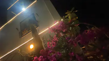 مزرعة/شاليه - مادبا /دليله بجانب المدينه الصناعيه الجديده - 125000 دأ