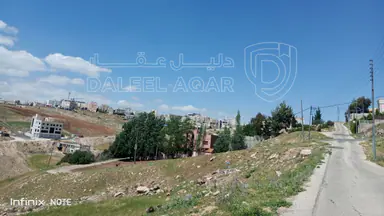 أرض في الدمينة خلف الظهير وخلف مسجد العاشوري غرب عمان  - 300,000 دأ - صورة NaN