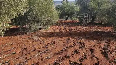 أرض في أرض للبيع  - 75,000 دأ - صورة NaN