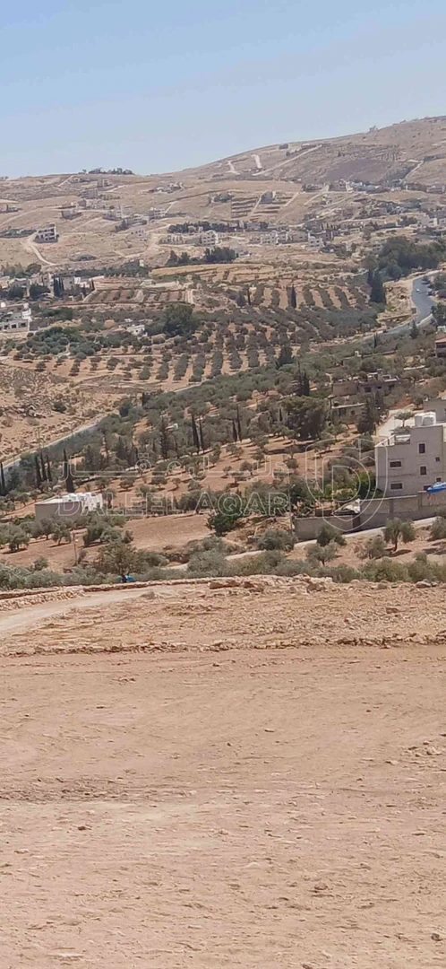 أرض في الزرقاء بيرين  - 100,000 دأ - صورة 1