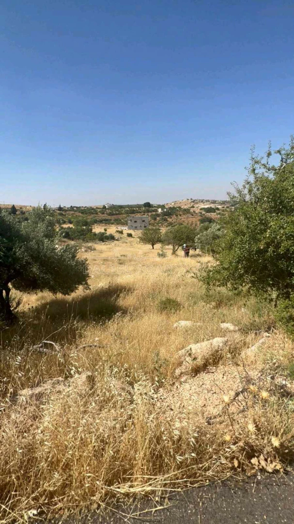 أرض في عجلون صخرة - حوض المشماس - 60,000 دأ - صورة 1