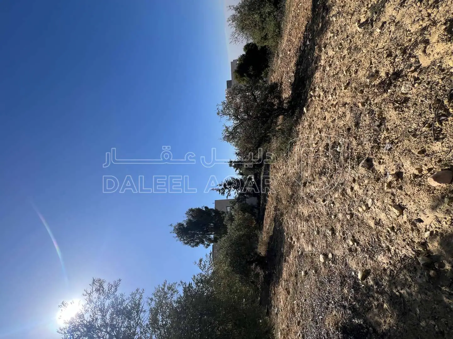 أرض في ماحص / أطراف منطقة بدر الجديده / بجانب قصر السعودي  - 180,000 دأ - صورة 1