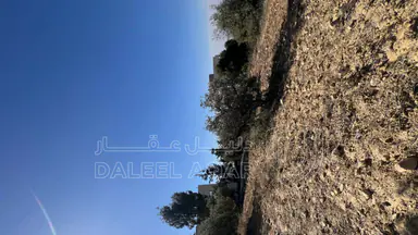 أرض في ماحص / أطراف منطقة بدر الجديده / بجانب قصر السعودي  - 170,000 دأ - صورة NaN