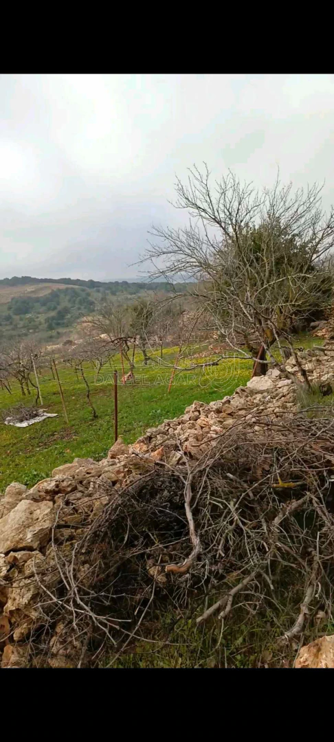 أرض في عجلون عين جنا  - 45,000 دأ - صورة 1