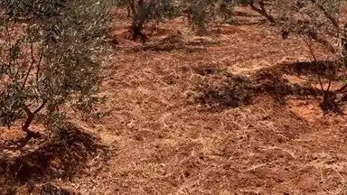 فيلا/منزل في الصبيحي - 500,000 دأ - صورة NaN