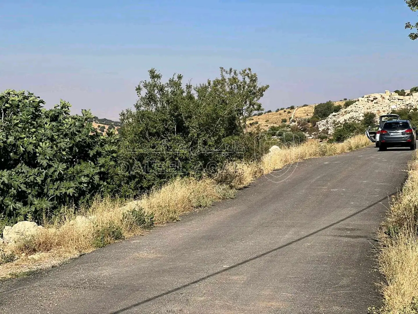 أرض في عجلون صخرة - حوض المشماس - 60,000 دأ - صورة 1