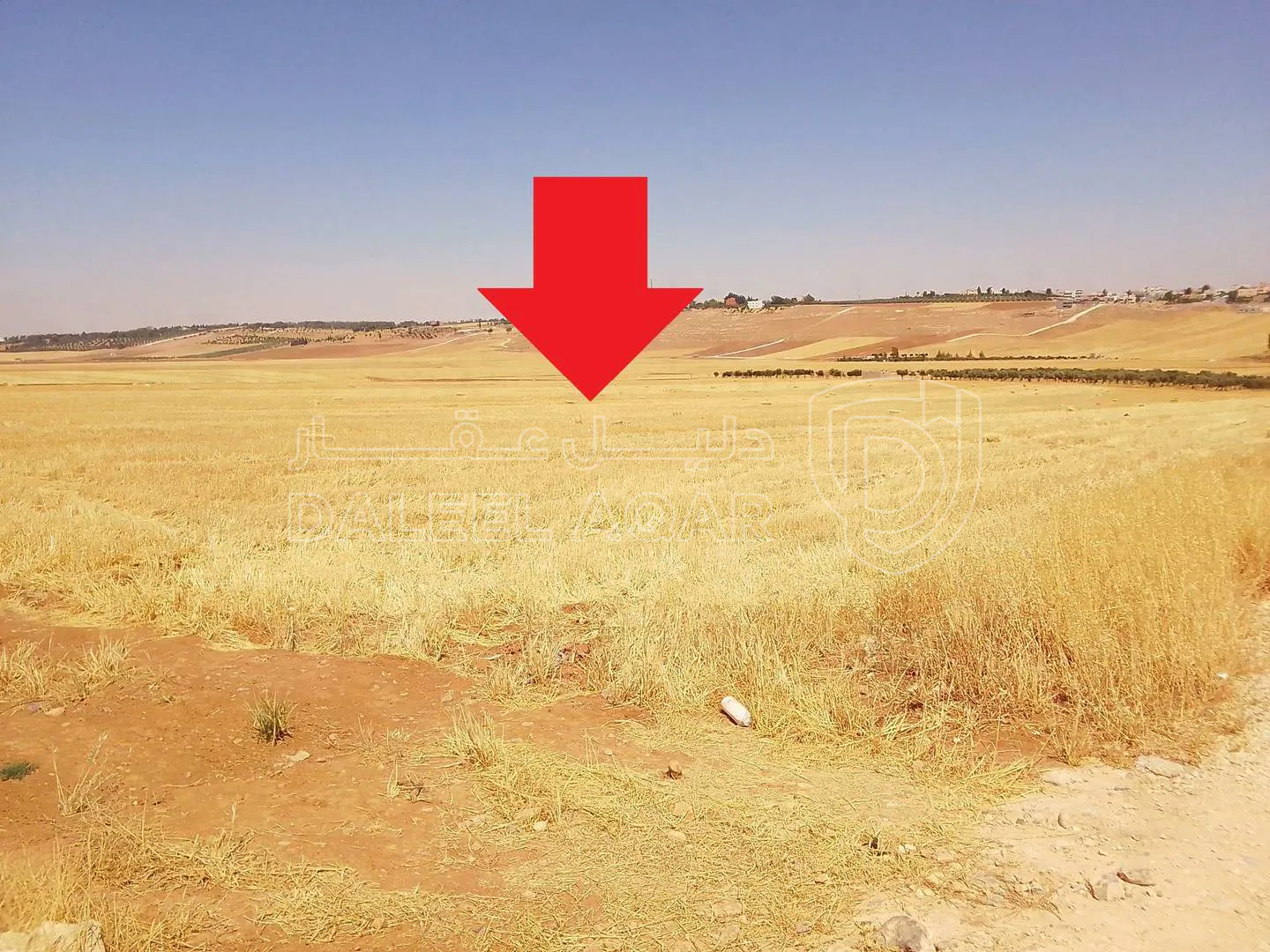 أرض في غرب الجامعة الأمريكية  - 63,600 دأ - صورة 1