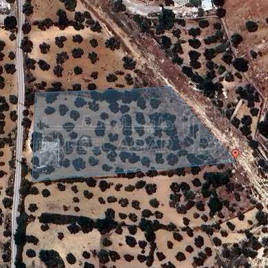 أرض في السلط/ زيقرب منتزه زي القومي  - 237,000 دأ - صورة 1