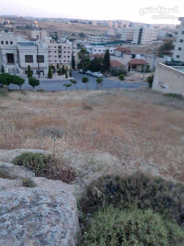 أرض في منطقة ياجوز ، شارع فتحي الصمادي - 185,000 دأ - صورة 1