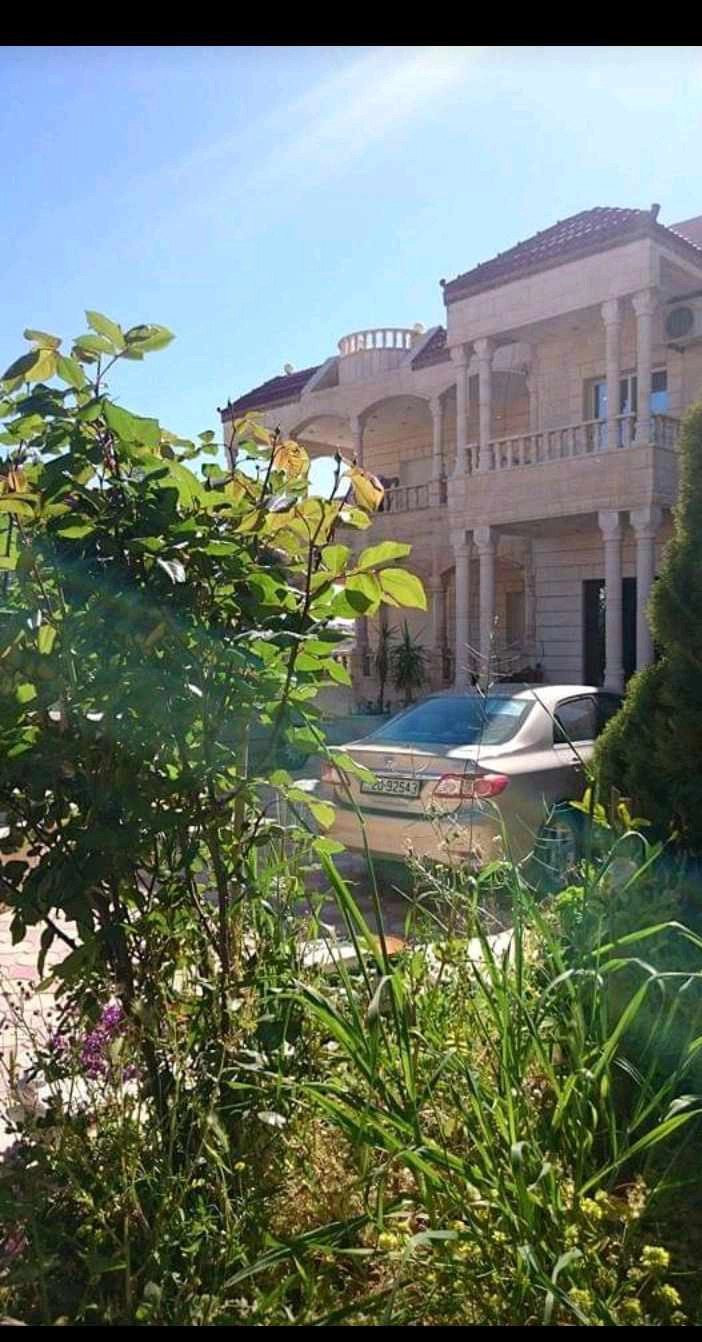 مبنى في المفرق .منشية بني حسن. وسط البلد  - 260,000 دأ - صورة 1