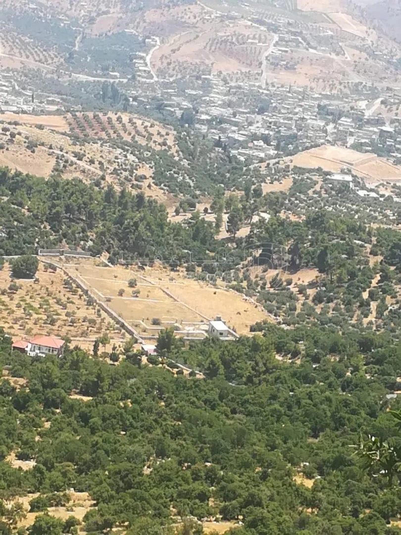 أرض في أرض مميزة للبيع في غابات دبين جرش - 20,000 دأ - صورة 1
