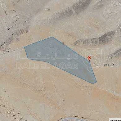 أرض في الشوبك/ الطريق الملوكي - 360,000 دأ - صورة 1