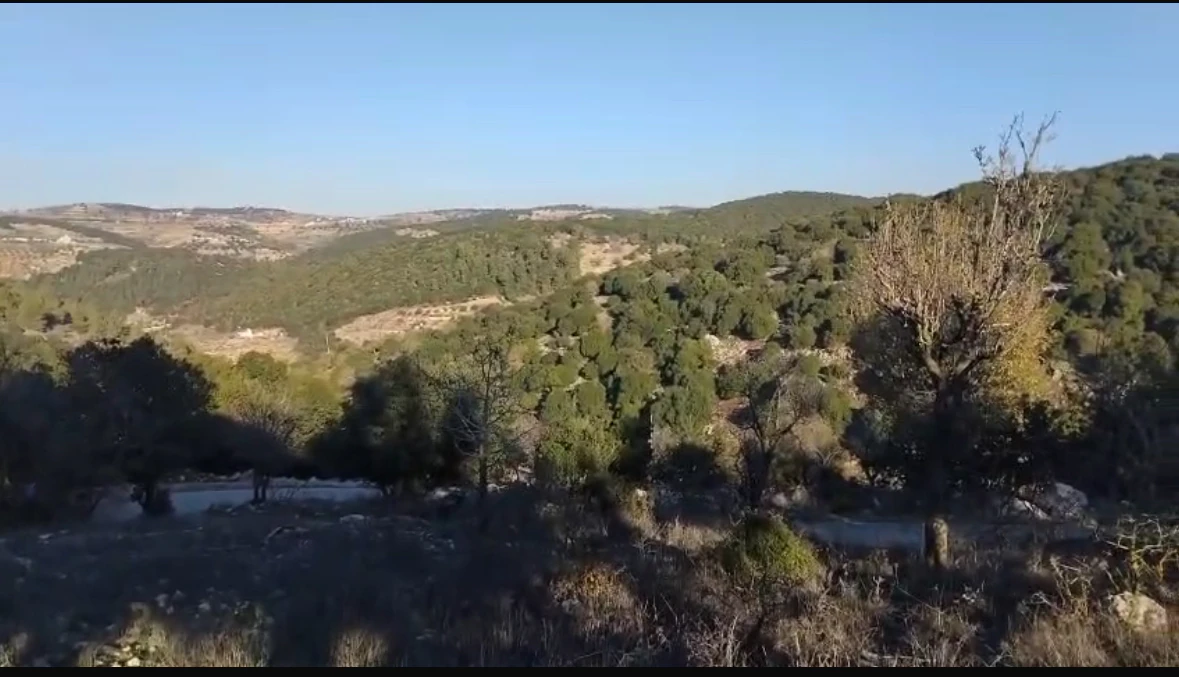 أرض في محافظة عجلون عين جنا - 34,000 دأ - صورة 1