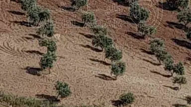 أرض في كفرنجه منطقة راجب - 68,000 دأ - صورة NaN