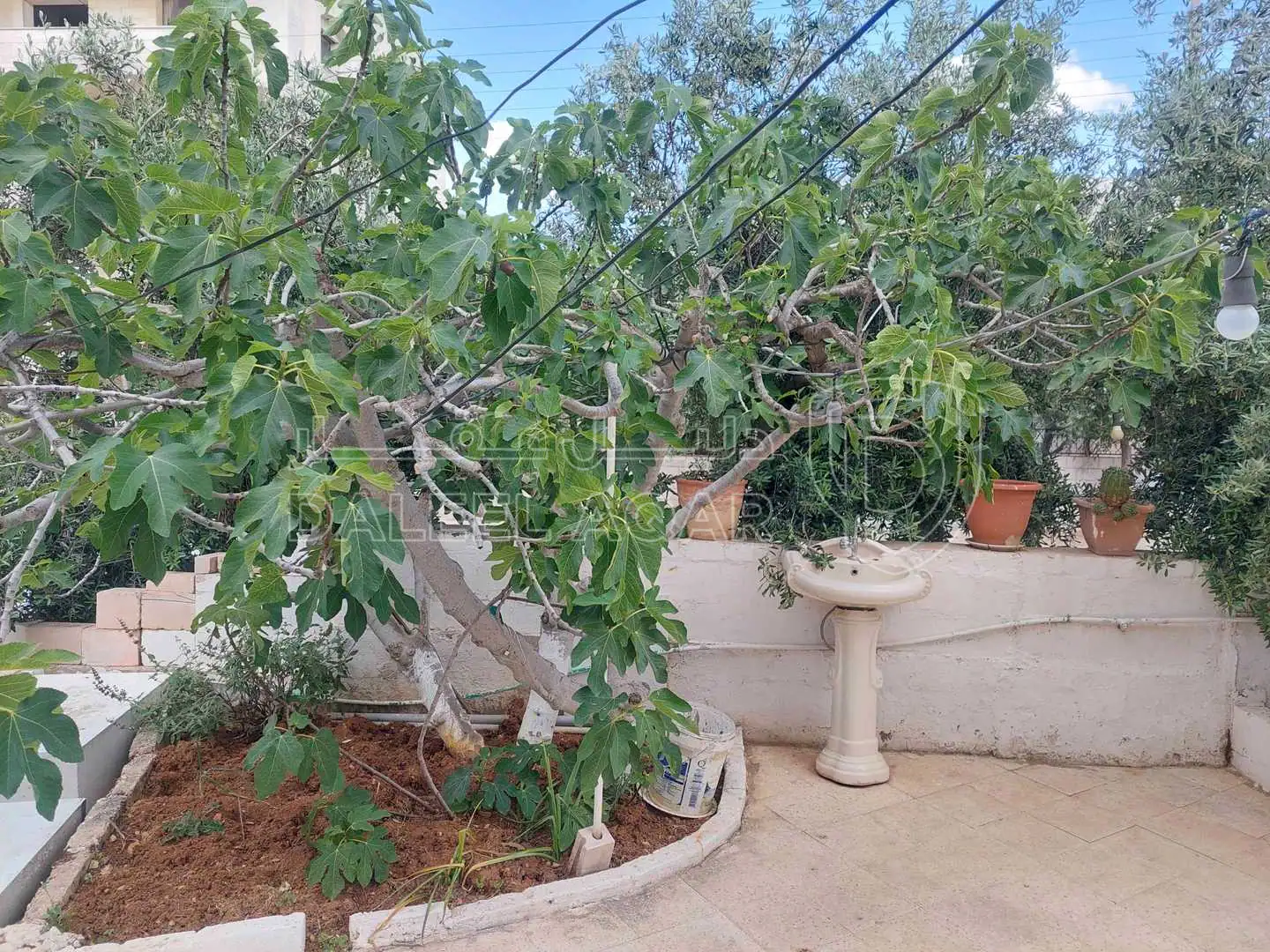 فيلا/منزل في عمان الجبيهه مقابل وزاره التعليم العالى شارع ابى سعيد الخادمى منزل رقم ١ - 340,000 دأ - صورة 1