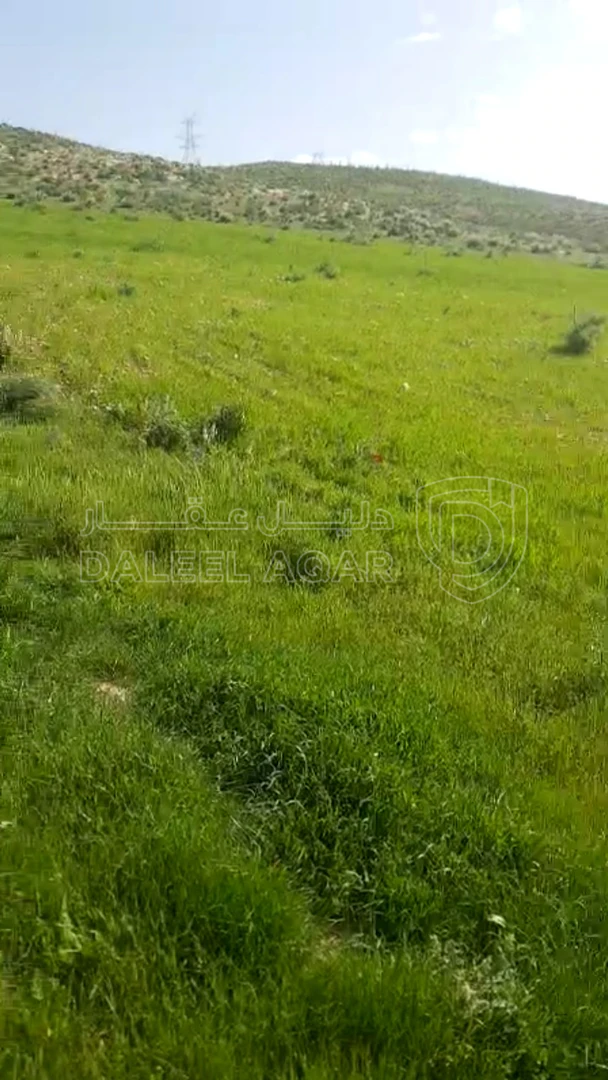 أرض في  مادبا - ماعين  - 32,000 دأ - صورة 1