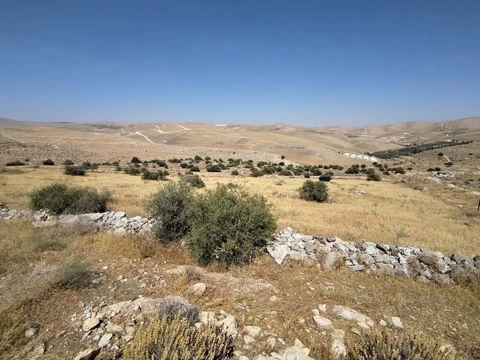 أرض في الزرقاء القنيه بجانب مطعم سمكنا  - 25,000 دأ - صورة 1