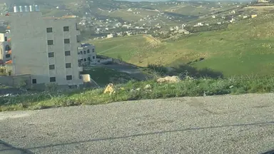 أرض في ارض في ام العروق على شارعين للبيع  - 90,000 دأ - صورة NaN