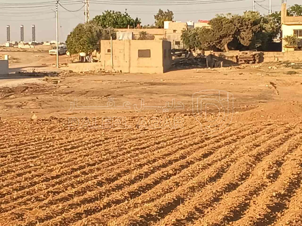 أرض في ارض للبيع بسعر مغري عمان خشافية الدبايبة - 22,000 دأ - صورة 1