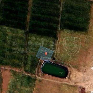 أرض في منطقة جنوب عمان - 70,000 دأ - صورة 1