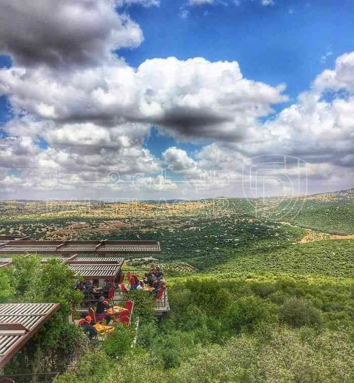 أرض في عجلون قرب المحمية الملكية - 43,000 دأ - صورة 1