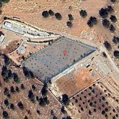 أرض في مزرعه في صروت  - 50,000 دأ - صورة 1