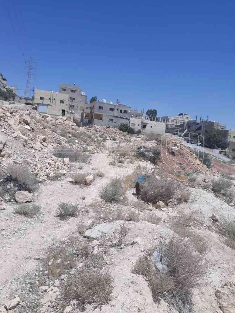 أرض في ارض للبيع في الزرقاء (جريبا ) - 25,500 دأ - صورة 1