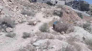 أرض في ارض للبيع في الزرقاء (جريبا ) - 25,500 دأ - صورة NaN