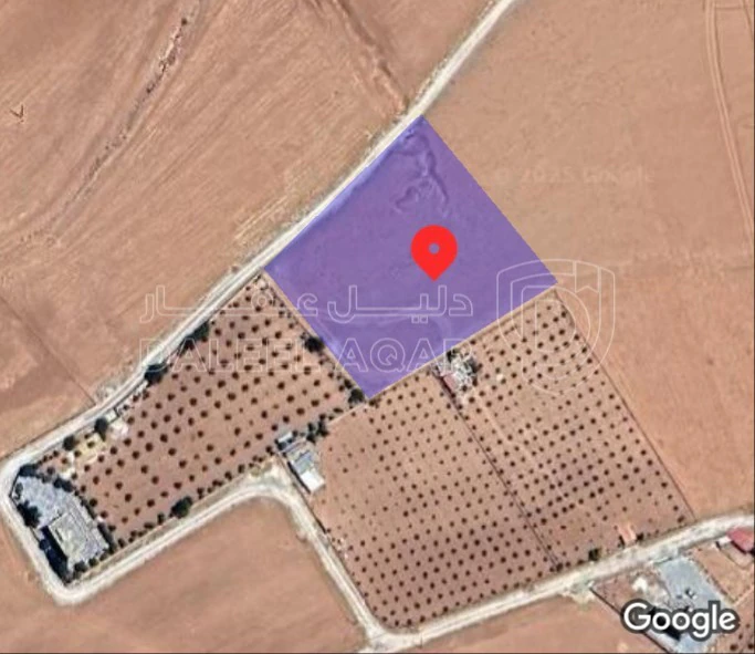 أرض في مادبا _لب - اراضي ذيبان / الغدير  - 30,000 دأ - صورة 1