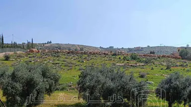 أرض في منطقة دحل طريق الزرقاء جرش - 50,000 دأ - صورة NaN