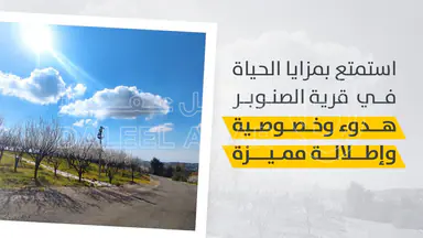 أرض - أرض سكنية للبيع في ناعور- 9 دقائق عن كازية السلام  - 79000 دأ