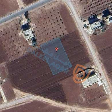 أرض في إربد-الصريح-المسرب الوسطاني - 87,500 دأ - صورة 1