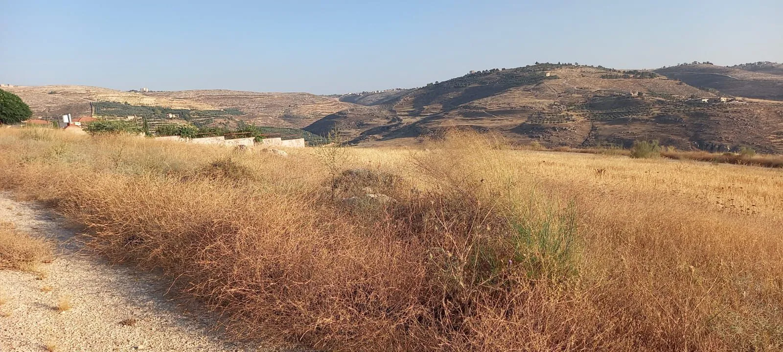 أرض في ناعور  - 44,000 دأ - صورة 1
