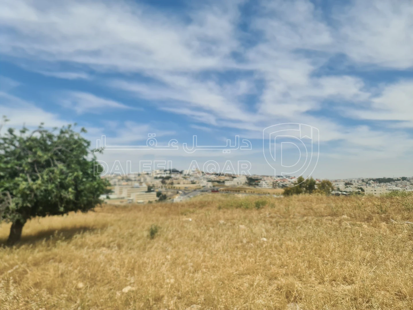 أرض في شارع لبنان - 325,000 دأ - صورة 1