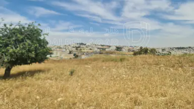أرض في شارع لبنان - 350,000 دأ - صورة NaN