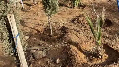 مزرعة/شاليه في مادبا /دليله بجانب المدينه الصناعيه الجديده - 125,000 دأ - صورة NaN