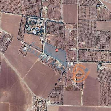 أرض في حسبان المساهم - 377,000 دأ - صورة 1