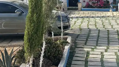 مزرعة/شاليه في مادبا /دليله بجانب المدينه الصناعيه الجديده - 125,000 دأ - صورة NaN