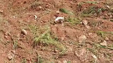 أرض في منطقة دحل طريق الزرقاء جرش - 50,000 دأ - صورة NaN