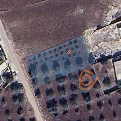 أرض في اربد شارع فوعرا قرب أسواق الفرقان - 50,000 دأ - صورة 1