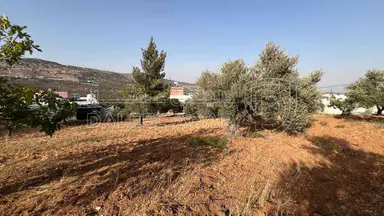 أرض في ارض ريفية جميلة جدا ومزروعه زيتون - 119,000 دأ - صورة NaN