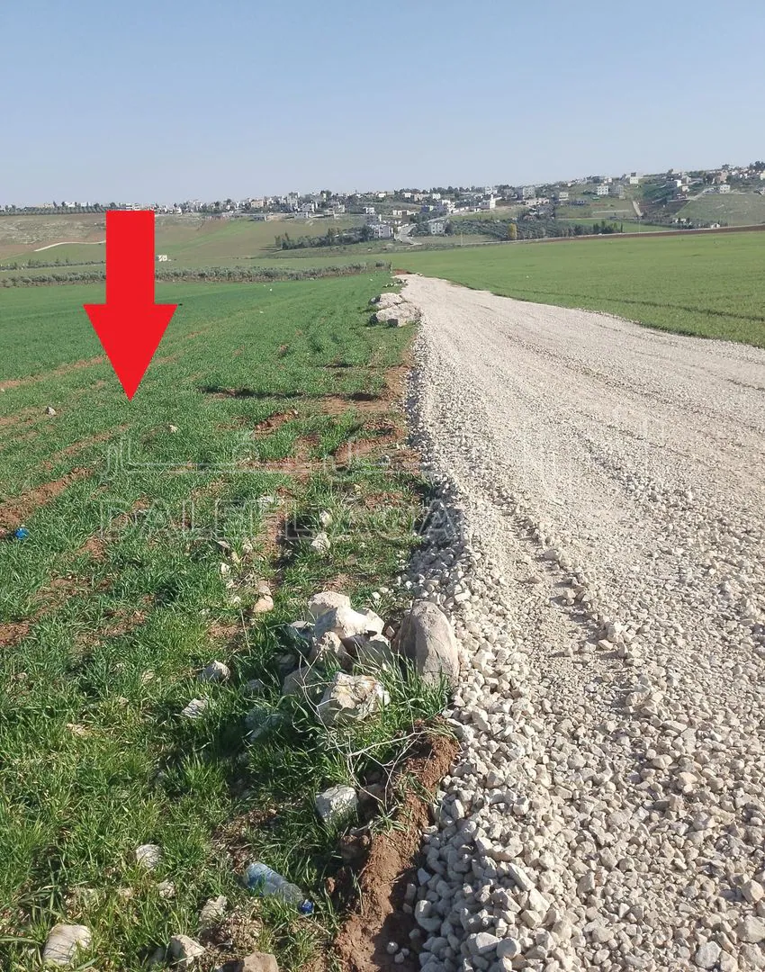 أرض في غرب الجامعة الأمريكية  - 63,600 دأ - صورة 1